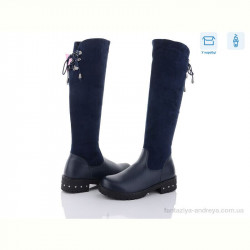 Сапоги ВЗУТТЯ+ SA2-20