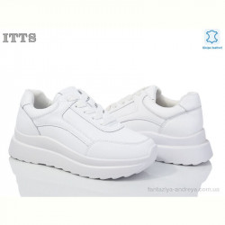 Кроссовки ITTS MT51-2