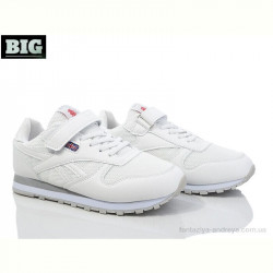Кроссовки BIG 3976-J8553-2