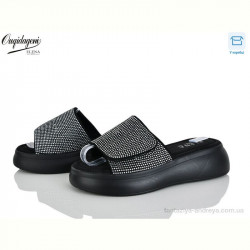 Шлепки Dageni F25-2