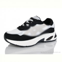 Кроссовки DaFuYuan HK5501-2