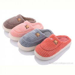 Тапки Lion TK2023-11 mix