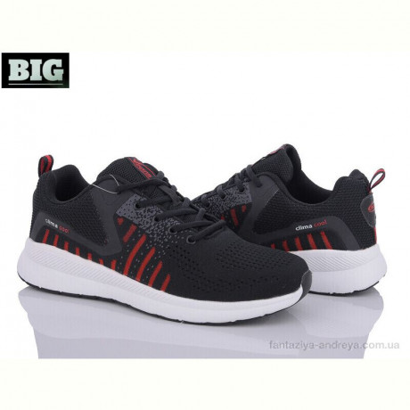 Кроссовки BIG A2177-6