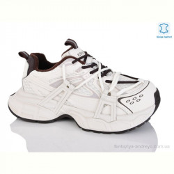 Кроссовки Teetspace-Trasta-Egga WDP1890-26