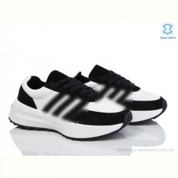 Кроссовки Olimp B0010-3